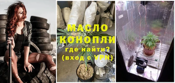 гашиш Богданович