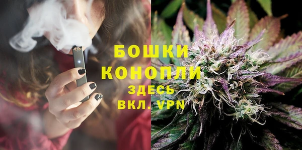 гашиш Богданович