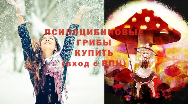 гашиш Богданович